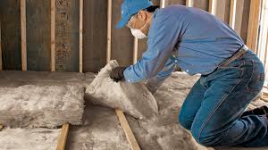 Types of Insulation We Offer in Fruitville, FL